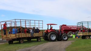 fun-on-the-farm-new-york-hay-ride