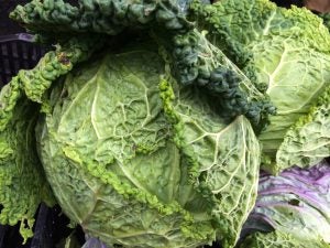 cabbage-farmers-market-new-york