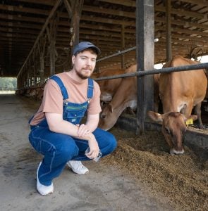 dairy-farming-MrBeast-Farm-Image