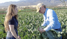 Western Growers debuts ‘Real Farmers Care’ for Thanksgiving