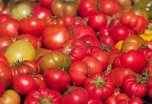 california-organic-tomatoes