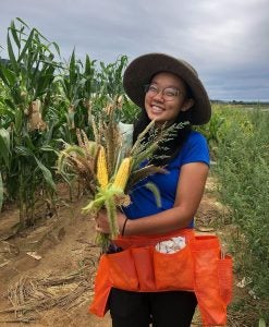 liza-nguyen-corn-field-crop