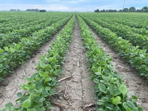 Tendovo-herbicide-crop-safety