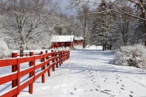 Red-Brand-Red_fence_in_snow