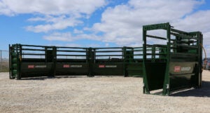 arrowquip-cattle-management