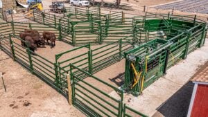 cattle-handling-design-system