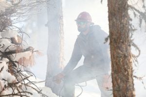 forest-service-burn-treatment-weaverville-california