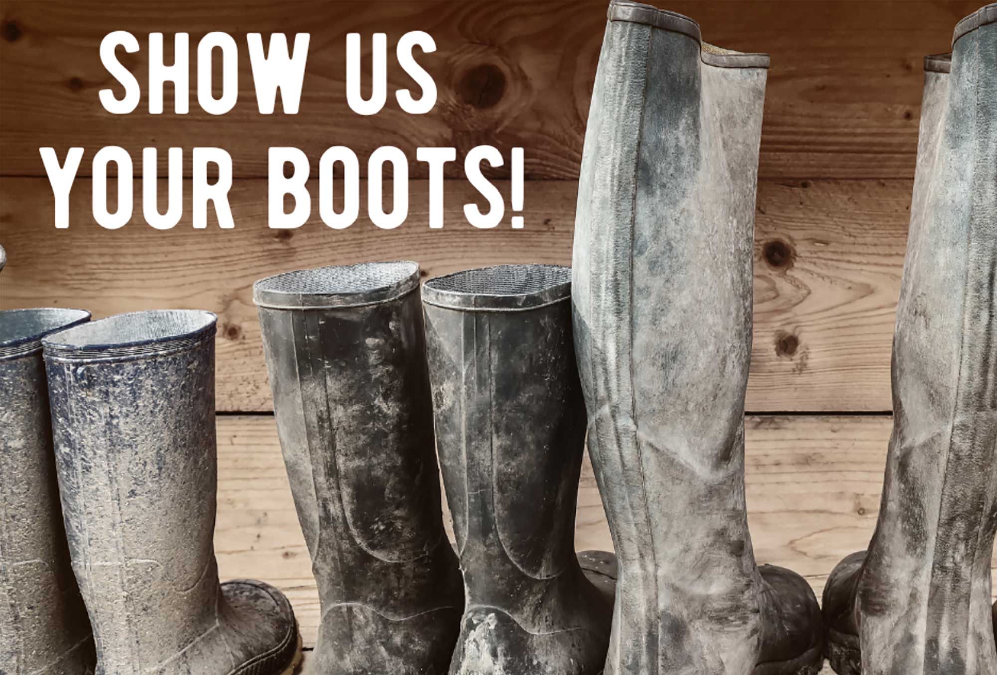 show-us-your-boots-illinois-campaign