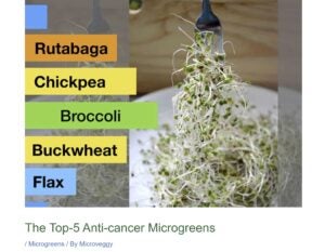 anti-cancer-microgreens