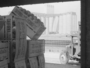 california-fruit-exchange-shipment