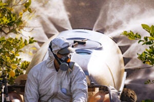 lemon-farm-spraying-organic-pesticides