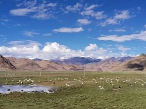 tibetan-plateau-modern-era