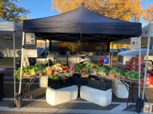 Minoru-Farm-Market-Stand-Colorado