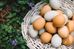 eggs-basket-colorful