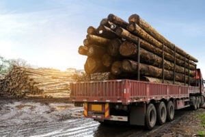 timber-hauling-truck
