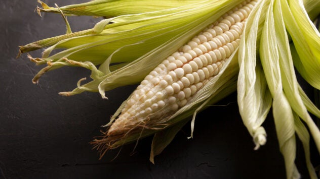 white-corn-mexico