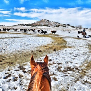 wyoming-farmer-mental-health