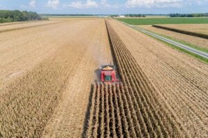 corn-harvest-marion-county-illinois