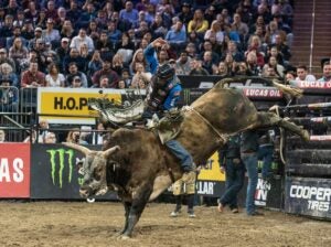 is-bull-riding-cruel-dakota-buttar