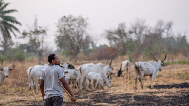 nigerian-cattle-rancher