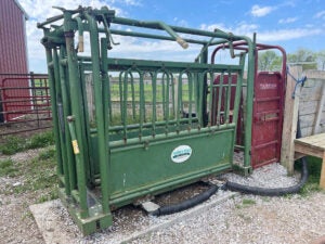 powder-river-economy-cattle-chute