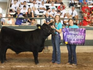 Iowa Governors Charity Steer Show (2)