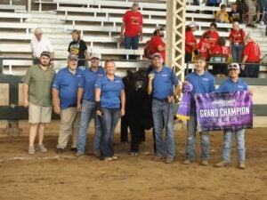 Iowa Governors Charity Steer Show (2)