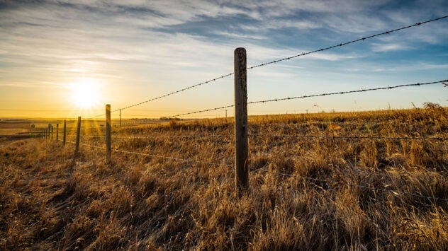 Red-Brand-header_barbed_wire_sunset