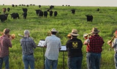 Farmer Derek & 5 besties serenade cows with trombones