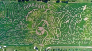 Jurassic Park Corn Maze Richardson Farms