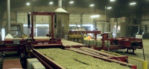 hay-press-washington-farm-safety