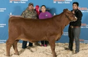 Ceaser Chavez FFA Cattle