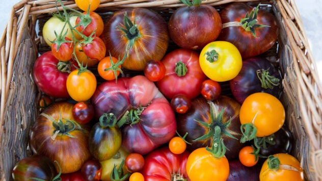 heirloom-tomatoes-colors