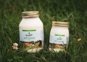 Steensma-Skyr-product-photo-courtesy-of-Kate-Steensma