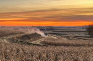 Fields-of-Corn Contest