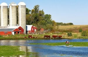 Fields-of-Corn Contest