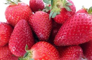 USDA Lumina Strawberries