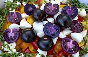 purple-galaxy-tomatoes