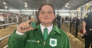 Florida 4-H