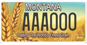 MT License Plate