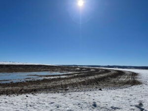 Wisconsin-Weiss-field