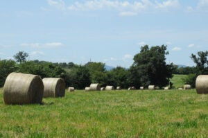 baled-hay-oklahoma