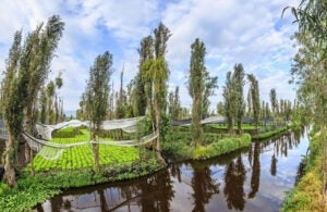 mexico-city-island-farming